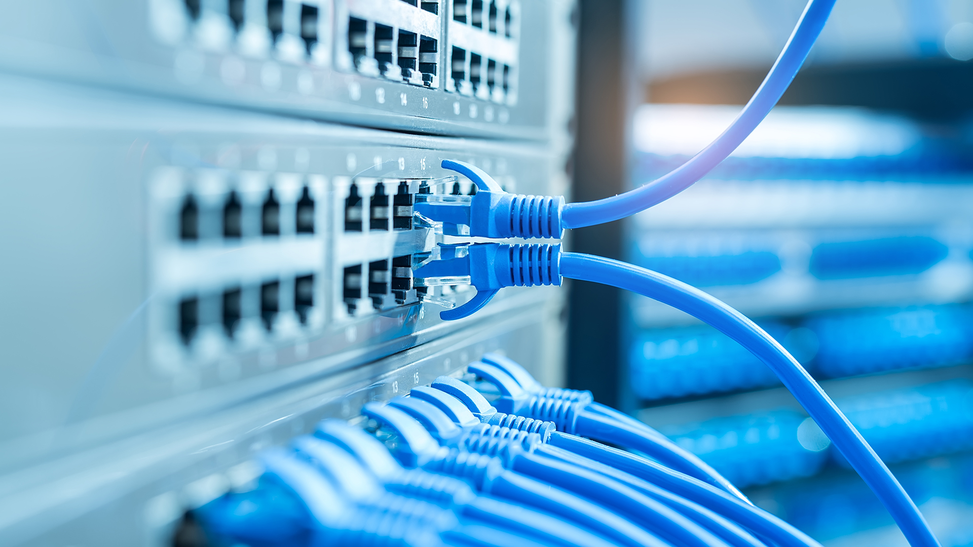 Network,Cables,Connected,To,A,Switch